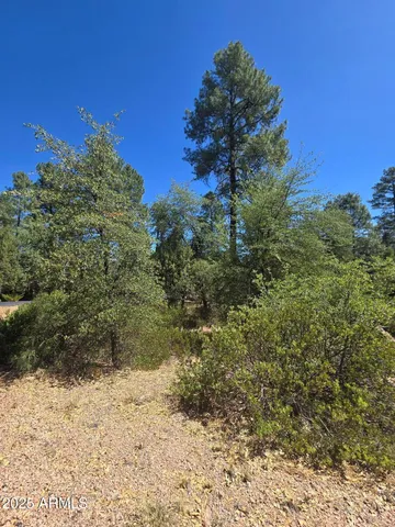 $60,000 | 2511 East Pine Island Lane, Unit 39, Payson, AZ 85541