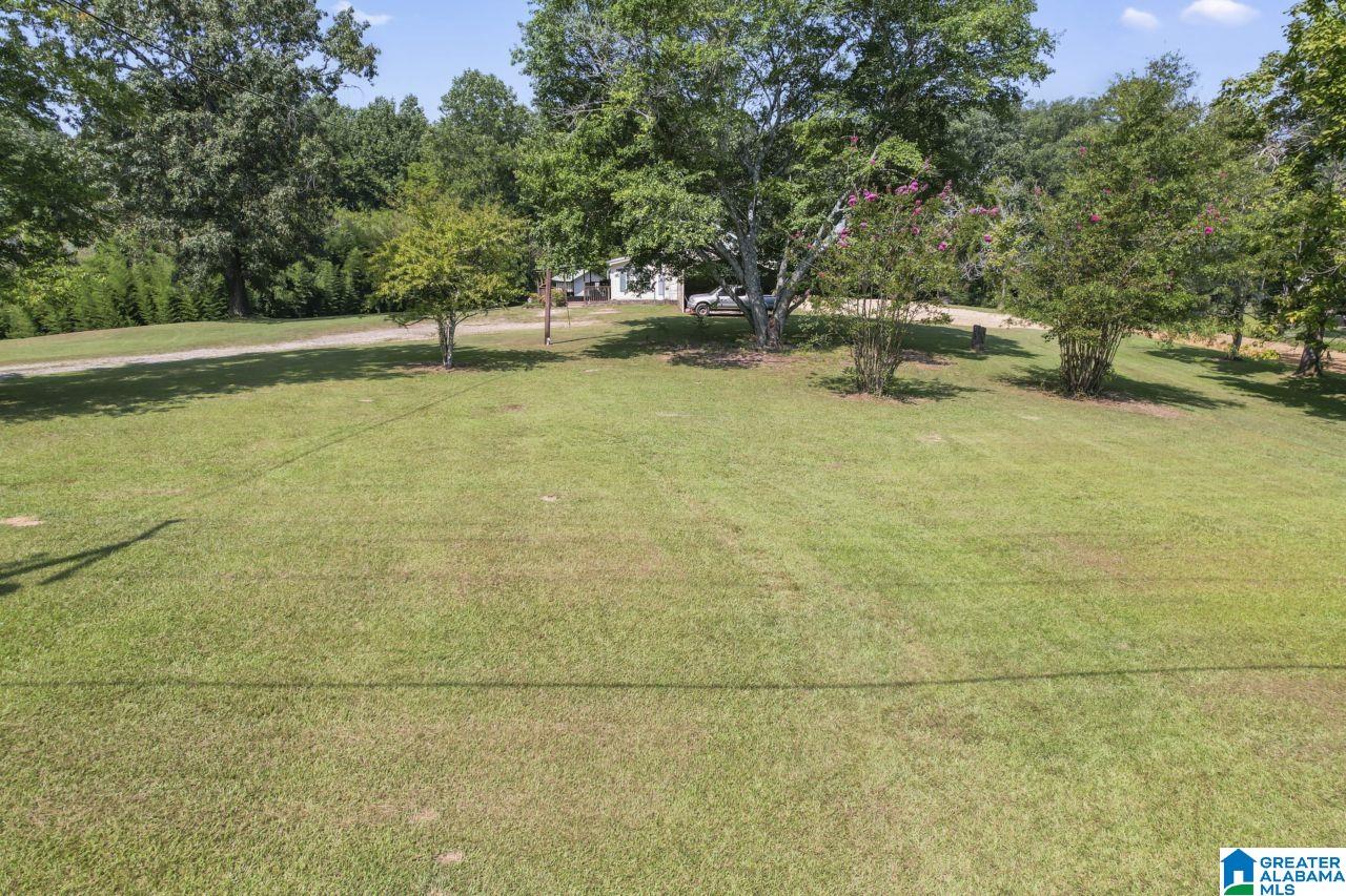 536 Old Patton Ferry Road Adger, AL 35006 - Photo 35 of 48 Gallery Image 35