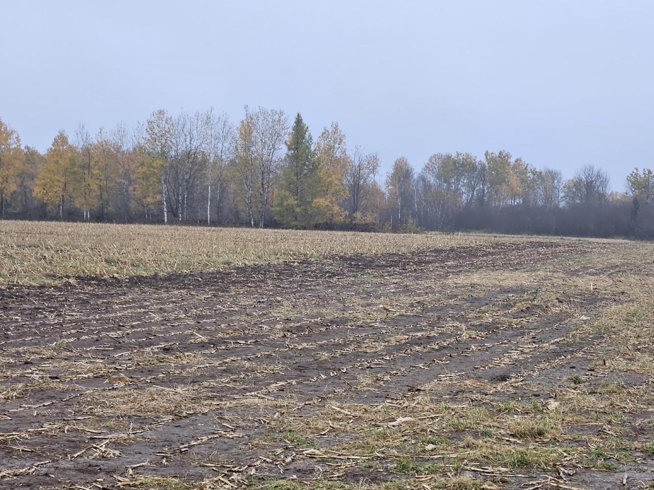 Off Larkin Road, Unit 40 ACRES Ogema, WI 54459 - Photo 5 of 8 Gallery Image 5