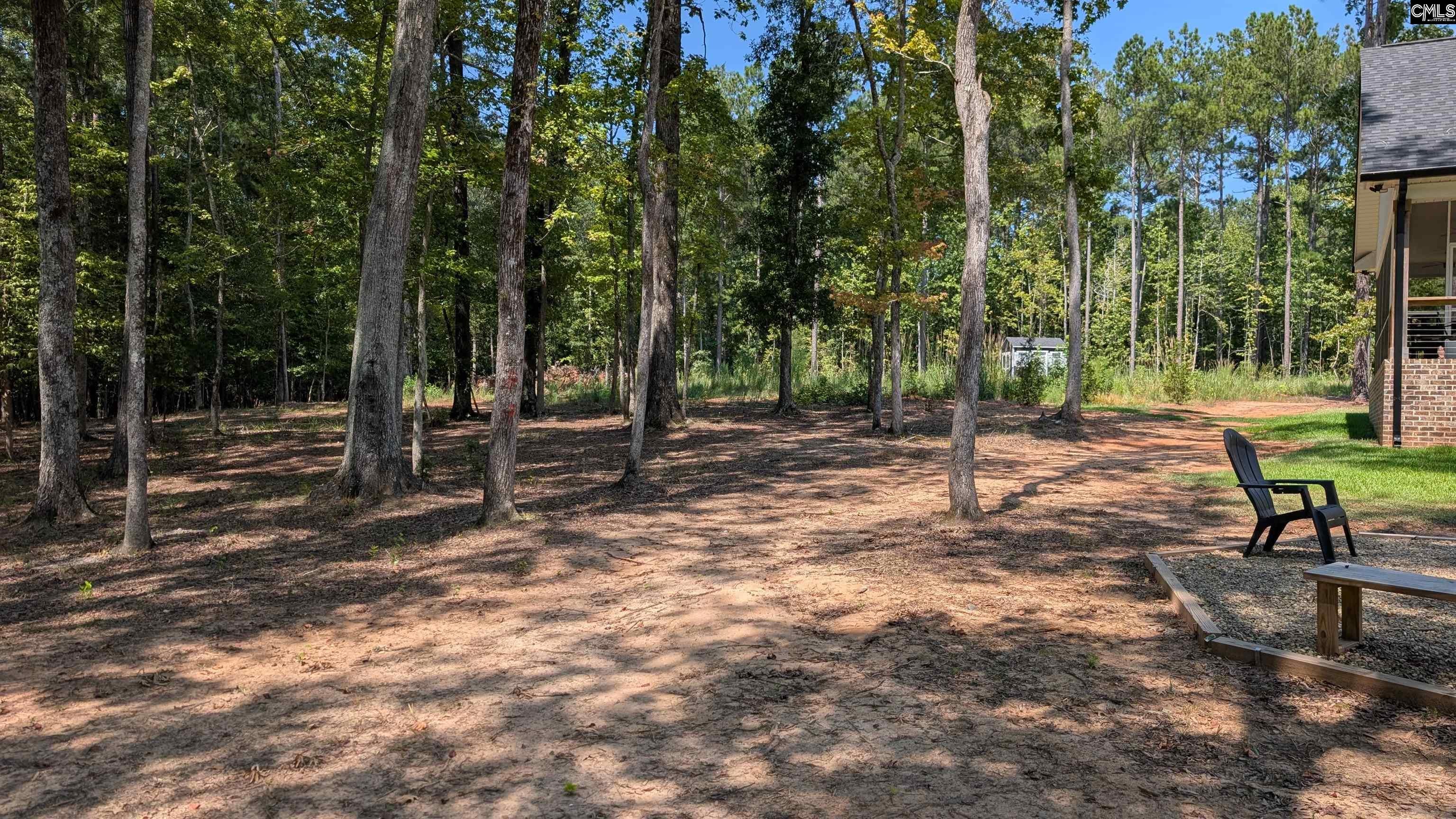 668 Goat Hill Road Ridgeway, SC 29130 - Photo 41 of 67 Gallery Image 41
