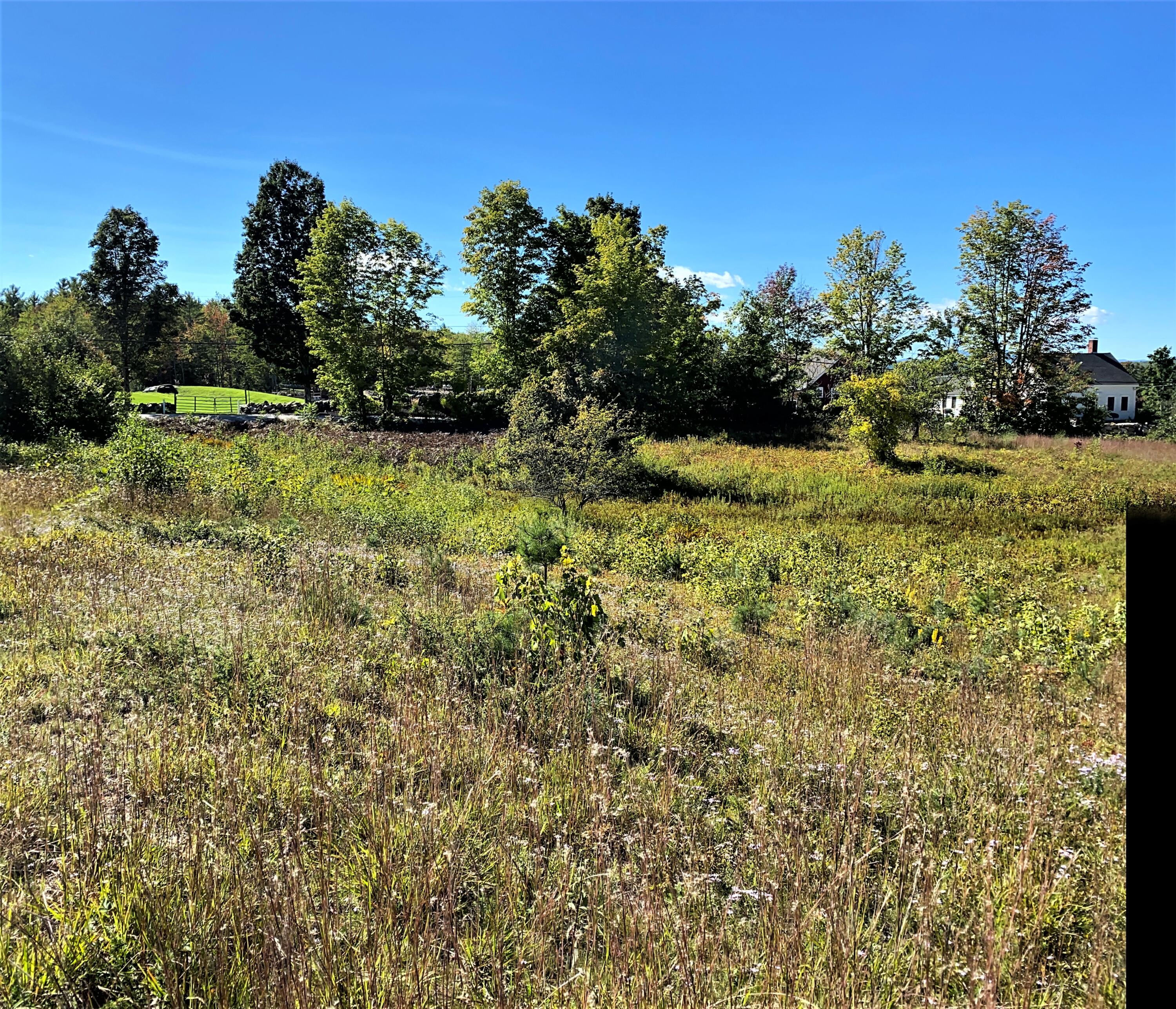 Lot 12 Libby Road West Newfield, ME 04095 - Photo 12 of 18 IMG_115938