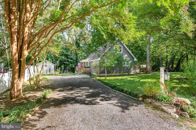 a view of a yard with plants and trees