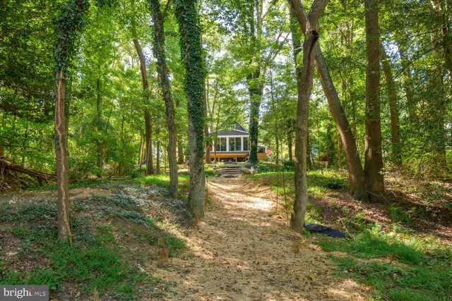 a view of a house with backyard
