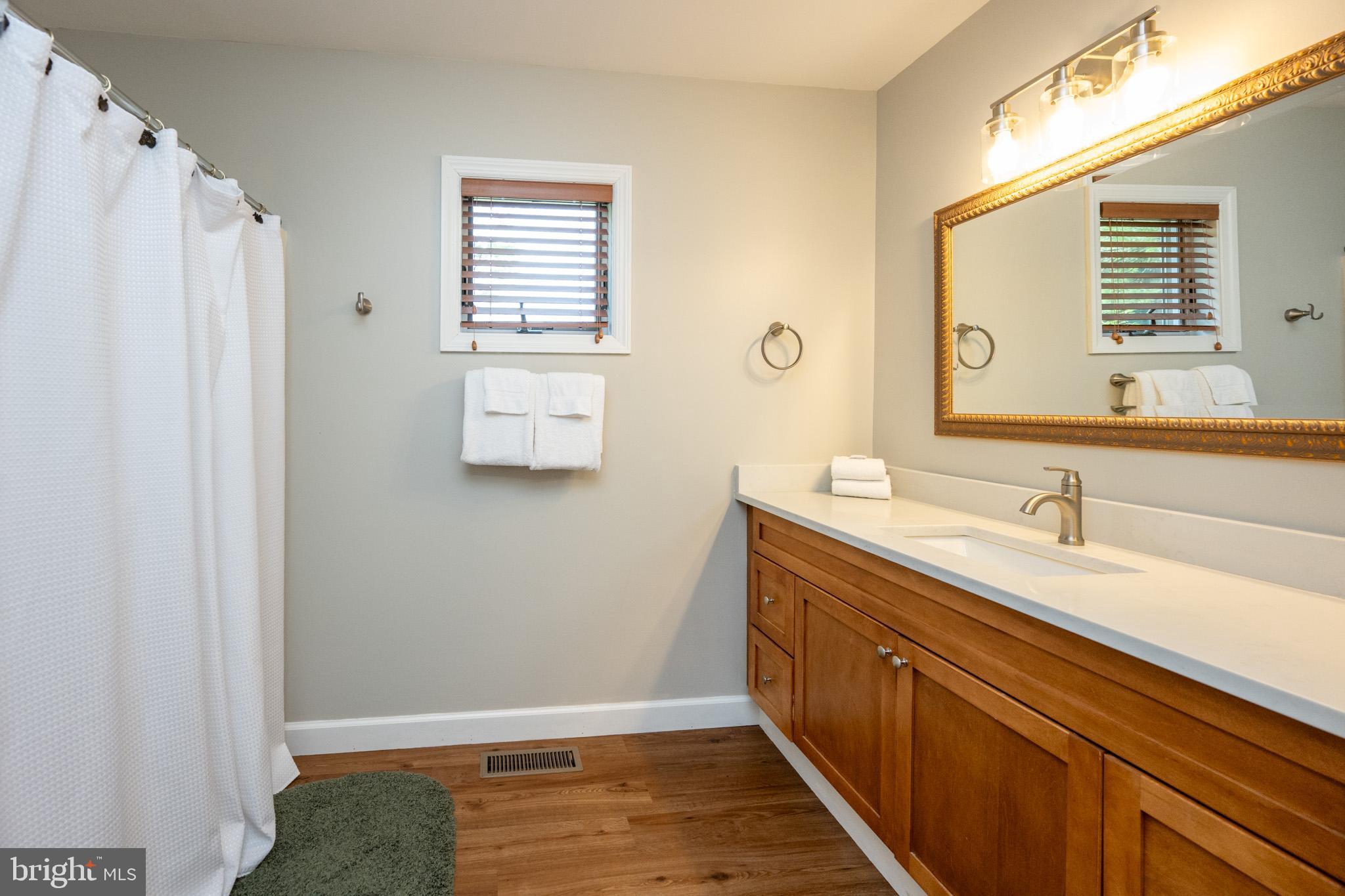 201 Rock Lodge Road McHenry, MD 21541 - Photo 32 of 75 a bathroom with a sink a vanity and a mirror