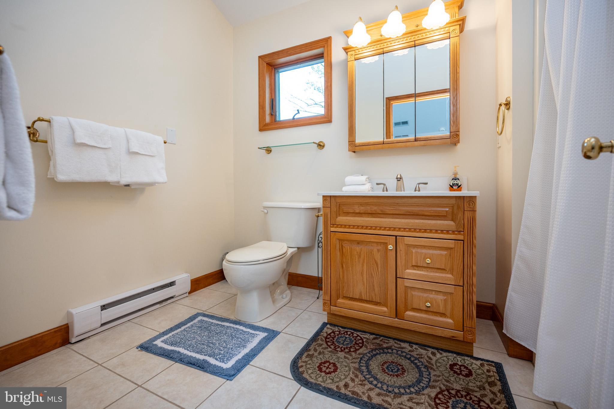 201 Rock Lodge Road McHenry, MD 21541 - Photo 40 of 75 a bathroom with a toilet a sink and a mirror