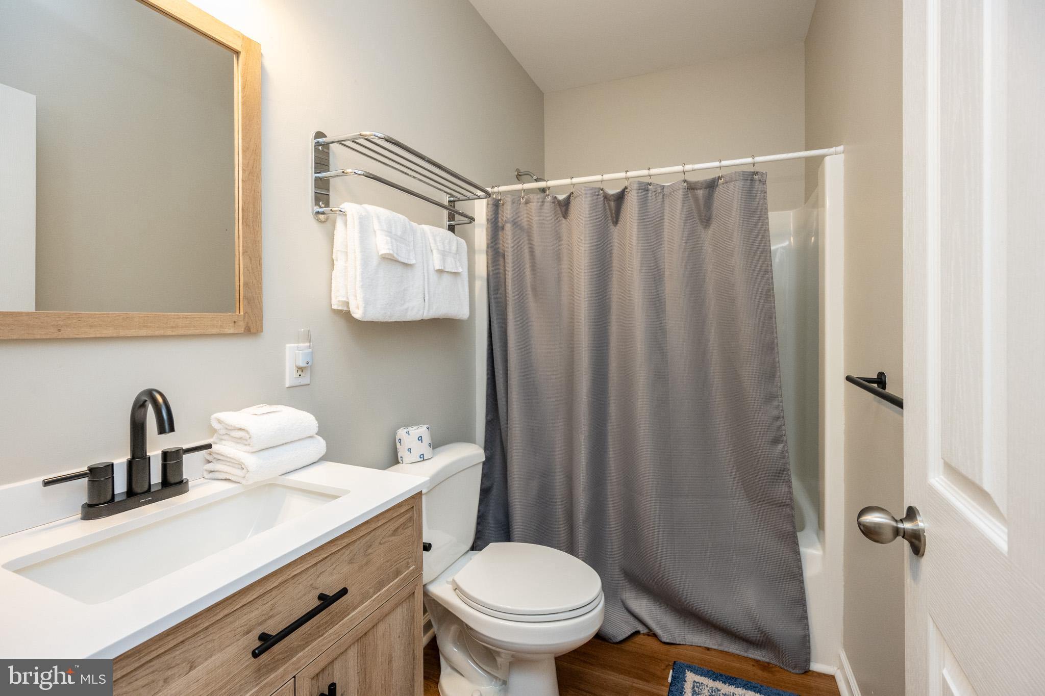 201 Rock Lodge Road McHenry, MD 21541 - Photo 53 of 75 a bathroom with a sink a toilet and shower curtain
