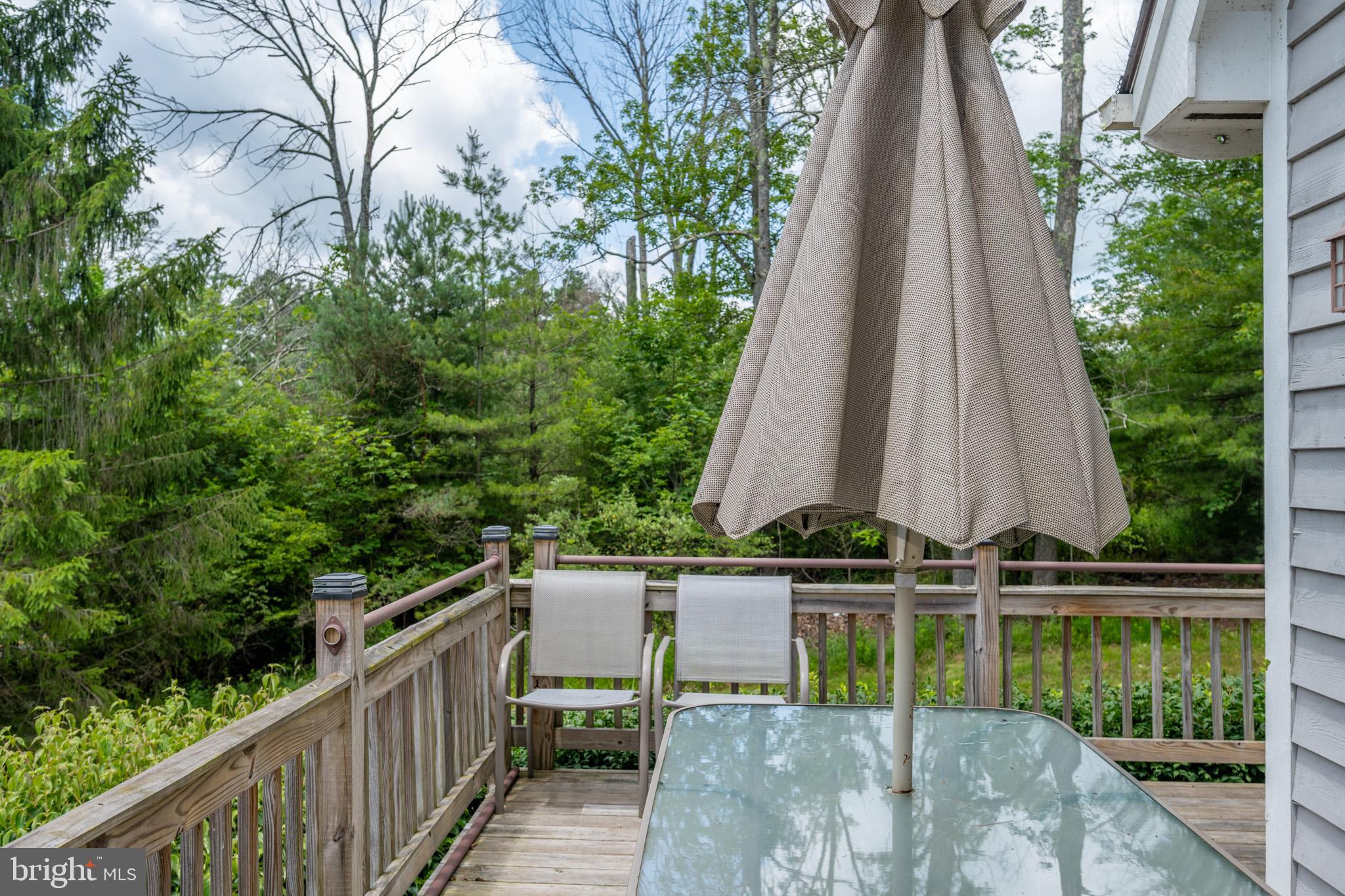 201 Rock Lodge Road McHenry, MD 21541 - Photo 59 of 75