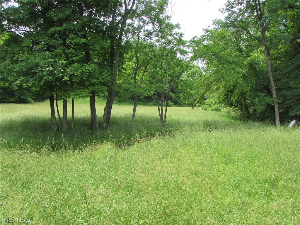1542 Freeland Run Road Middlebourne, WV 26149 - Photo 9 of 20