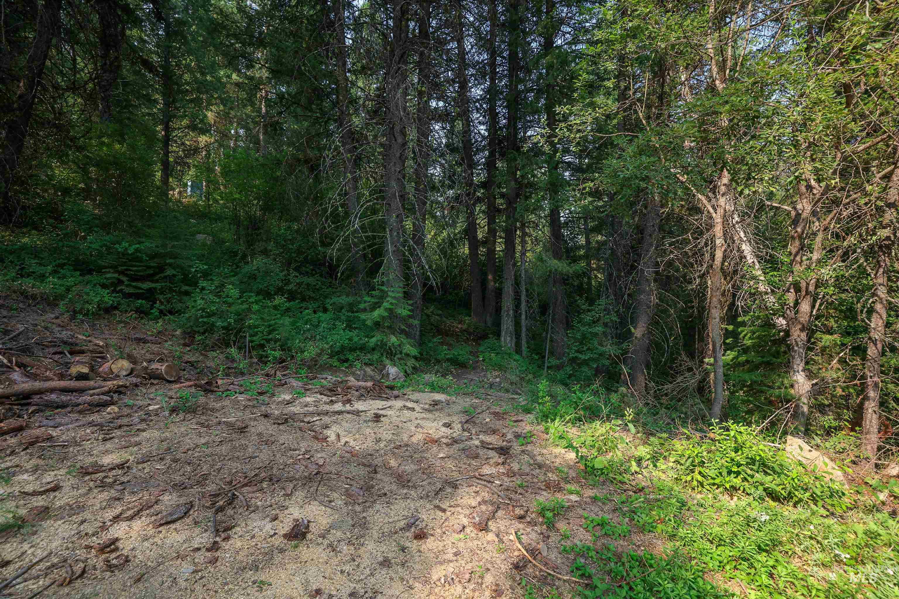 515 Collier View Road Cascade, ID 83611 - Photo 3 of 9 Gallery Image 3