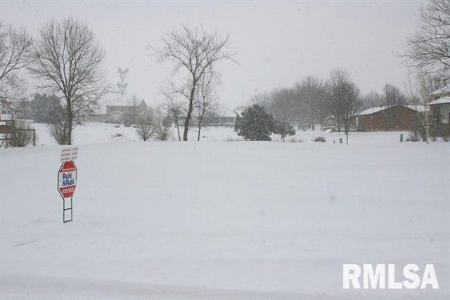 1221 Springbrook Lane DeWitt, IA 52742 - Photo 1 of 1 Gallery Image 1