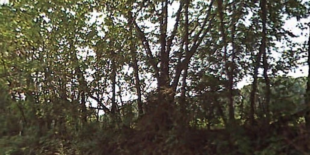 0 Armstrong Ferry Road, Unit 18 Decatur, TN 37322 - Photo 1 of 1 Screen Shot 2020-12-29 at 2.17.01 PM