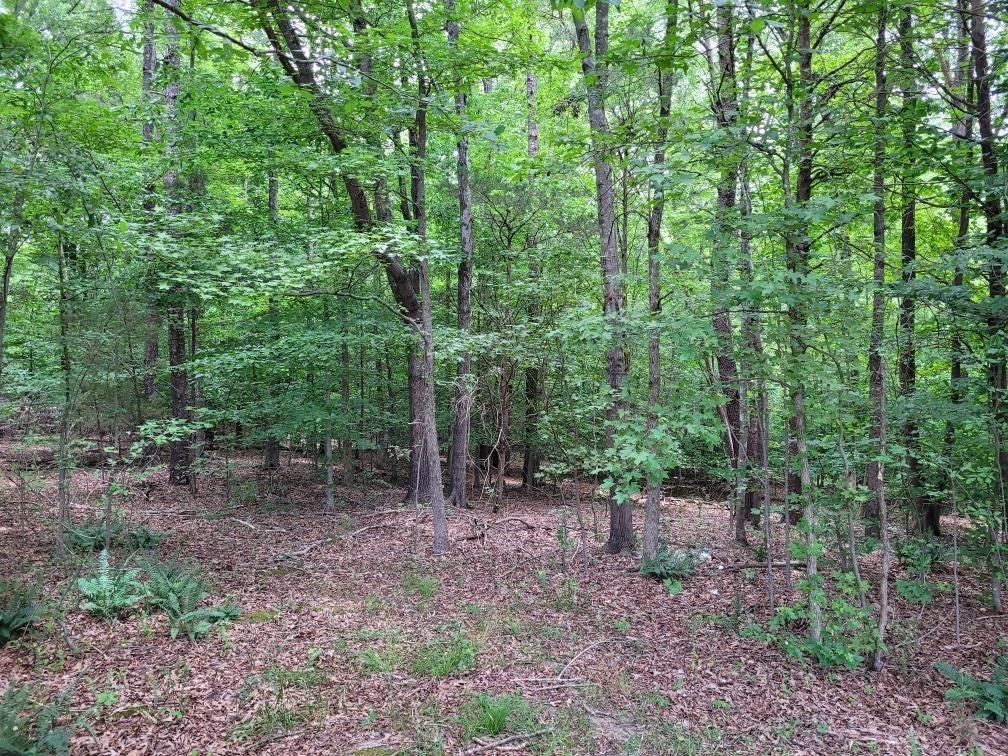 39 Thompson Road Farmville, VA 23901 - Photo 2 of 10 Gallery Image 2