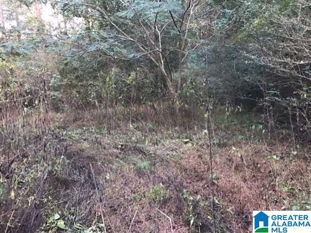 5577 Red Hollow Road, Unit 5 Birmingham, AL 35215 - Photo 5 of 12
