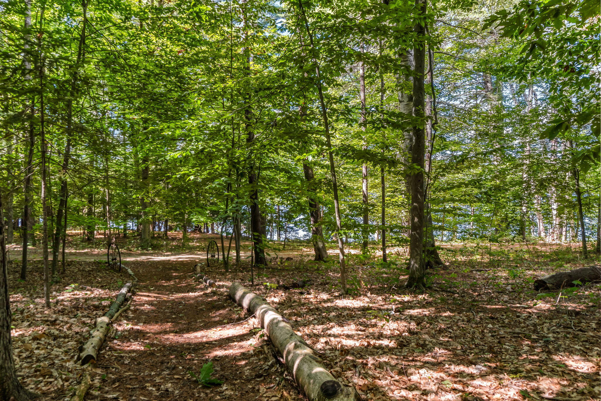 75 Menatoma Camp Road Readfield, ME 04355 - Photo 102 of 221 TRAIL
