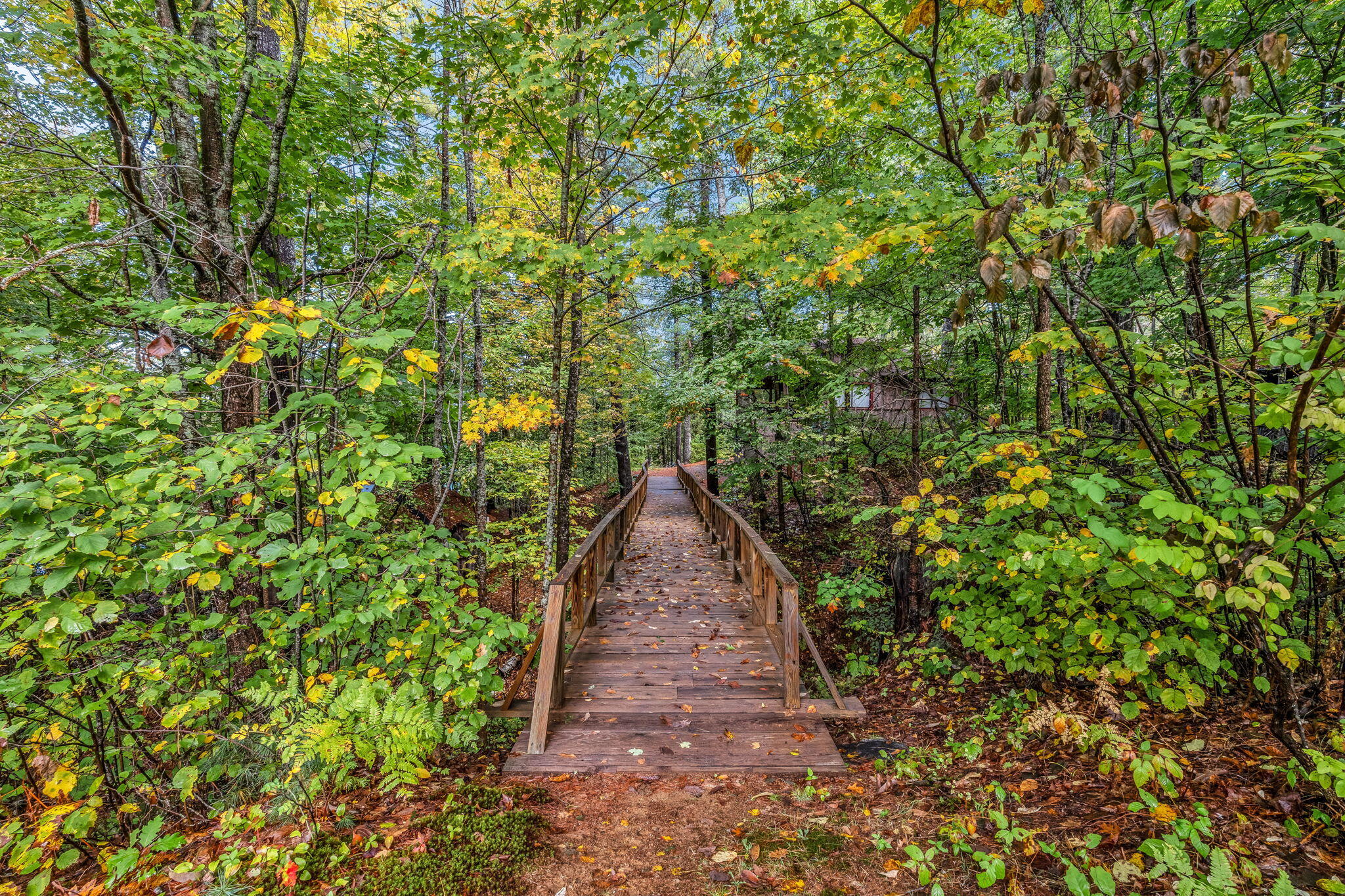 75 Menatoma Camp Road Readfield, ME 04355 - Photo 110 of 221 PATH FROM LODGE TO ASSOCIATION