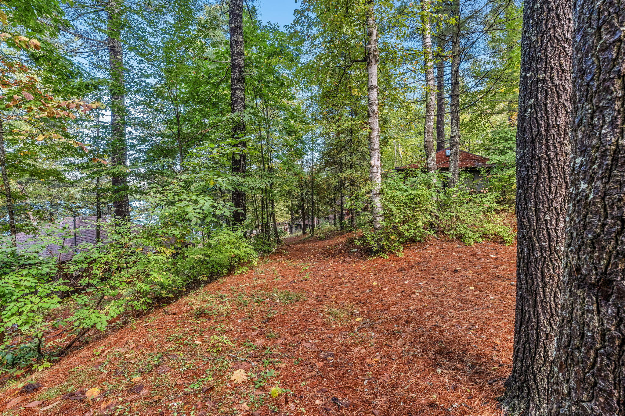 75 Menatoma Camp Road Readfield, ME 04355 - Photo 115 of 221 PATH