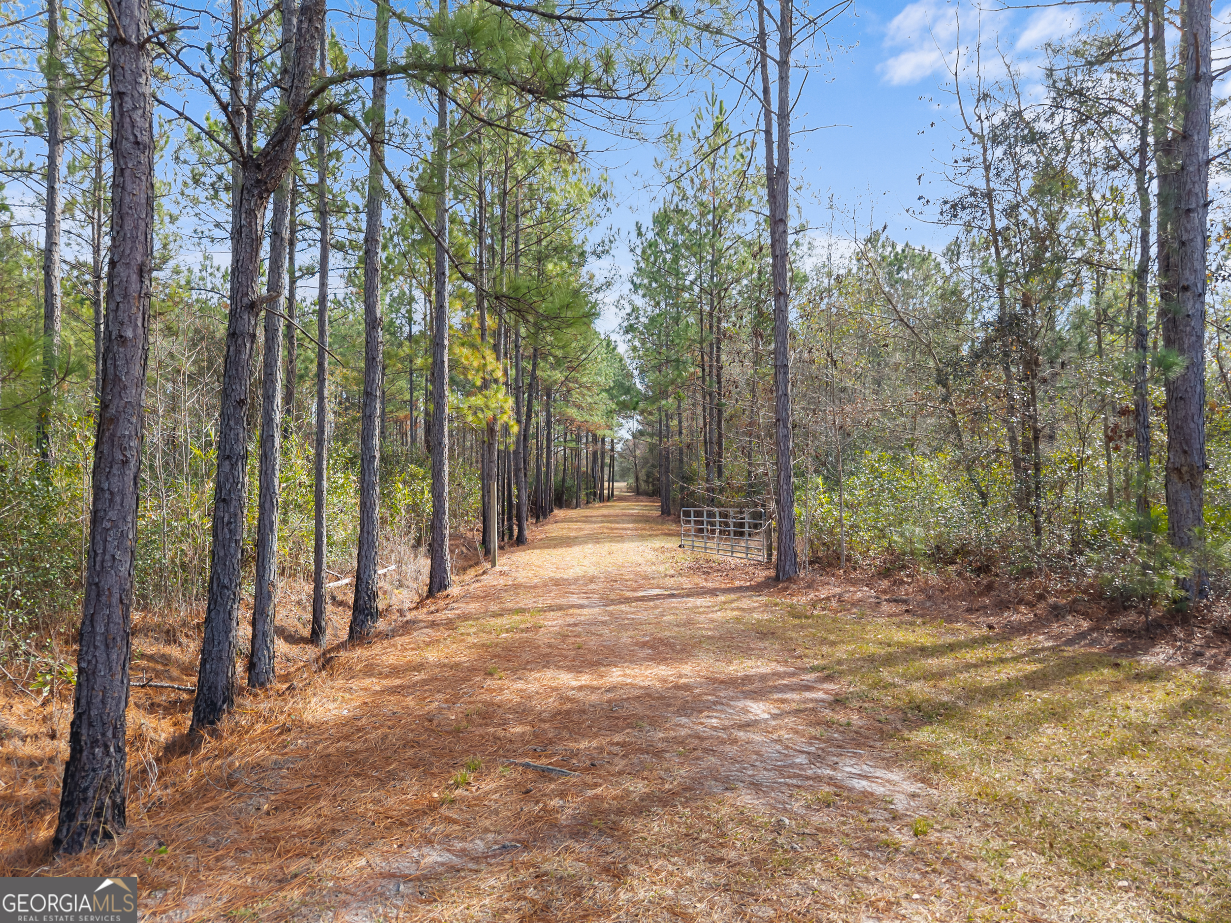 777 Zittrouer Road Guyton, GA 31312 - Photo 21 of 31