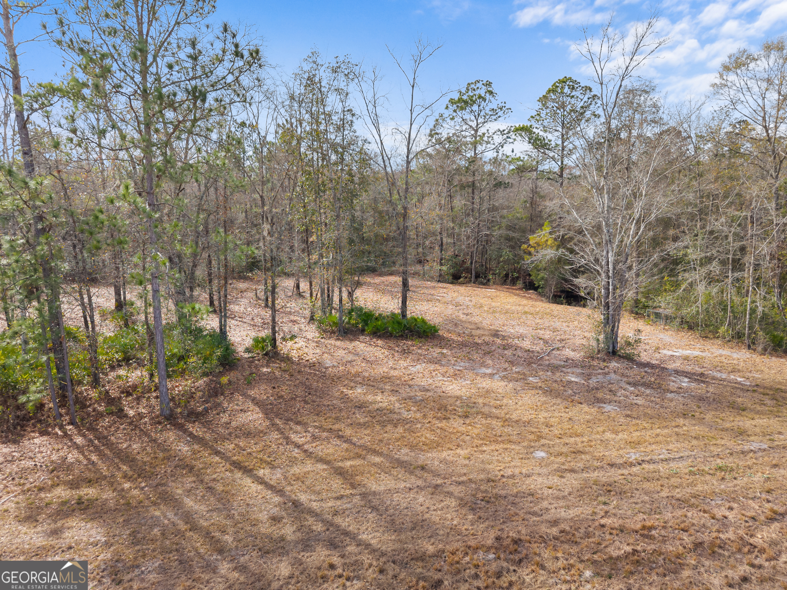 777 Zittrouer Road Guyton, GA 31312 - Photo 24 of 31