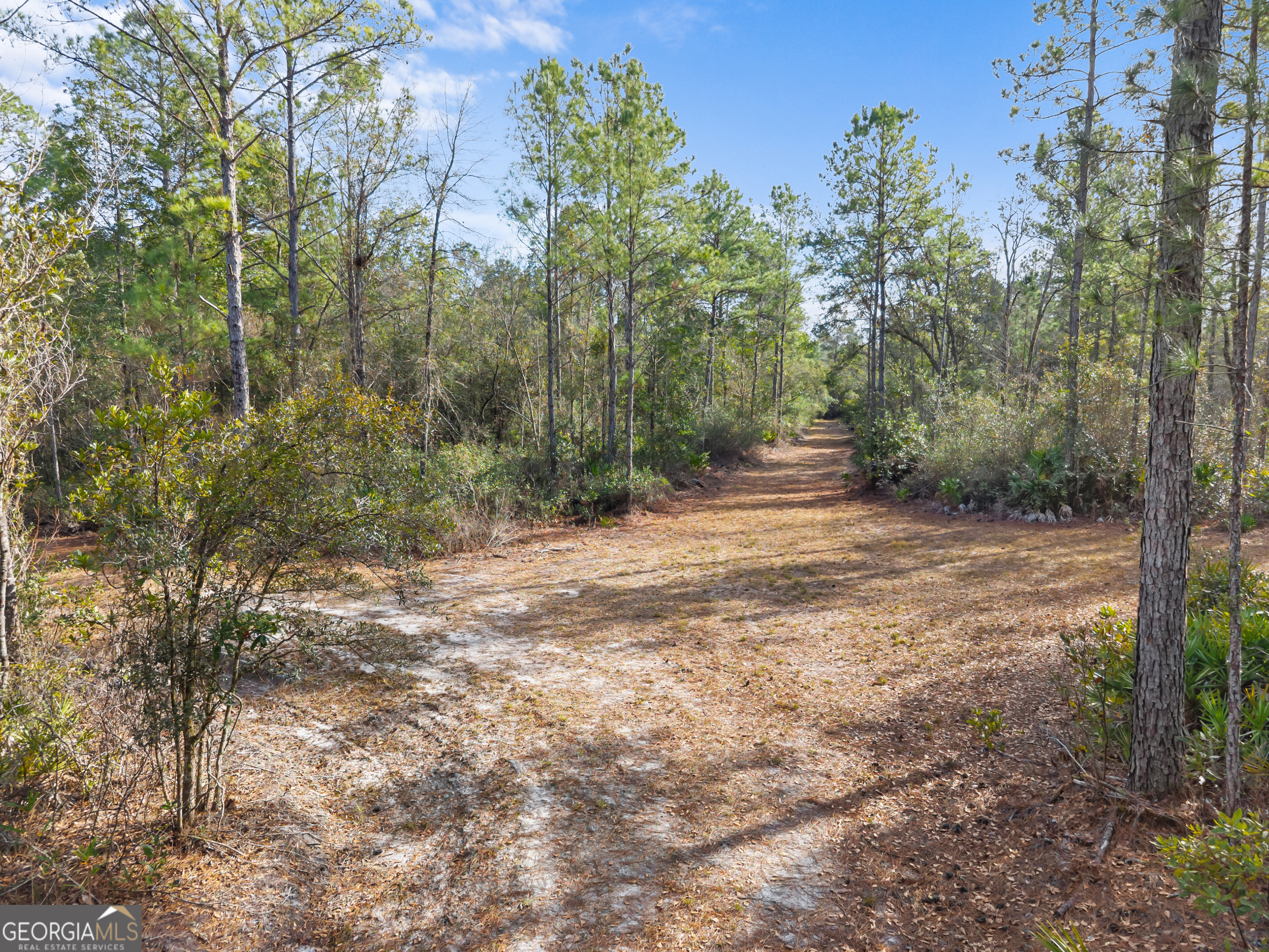 777 Zittrouer Road Guyton, GA 31312 - Photo 29 of 31