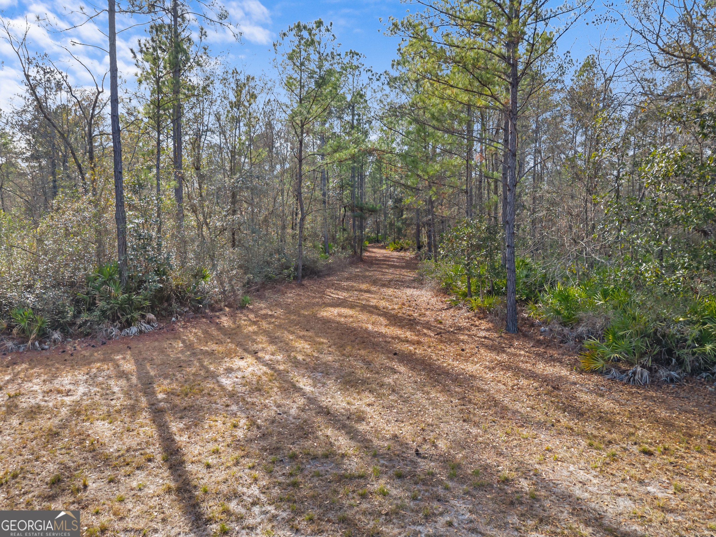 777 Zittrouer Road Guyton, GA 31312 - Photo 30 of 31