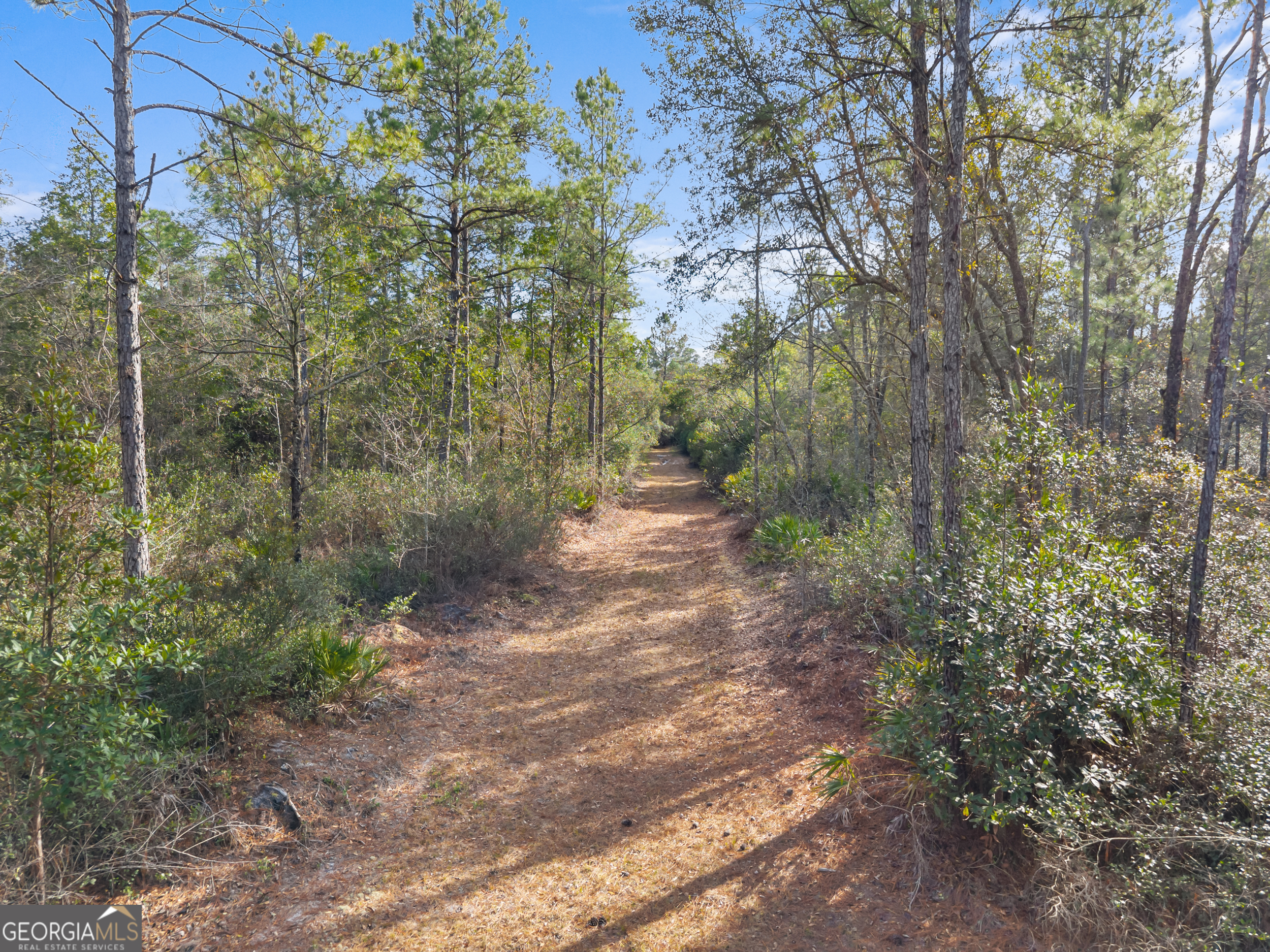 777 Zittrouer Road Guyton, GA 31312 - Photo 31 of 31