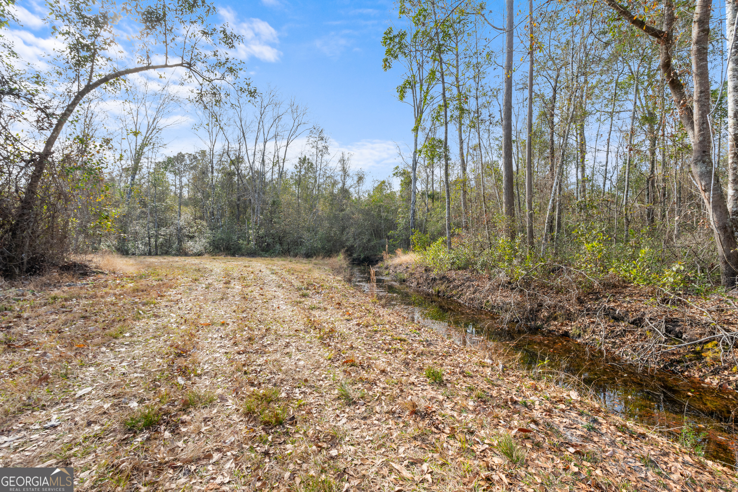 777 Zittrouer Road Guyton, GA 31312 - Photo 6 of 31