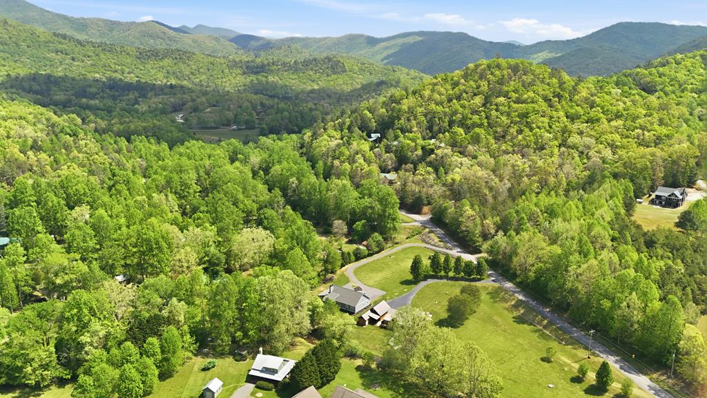 7079 Upper Hightower Road Hiawassee, GA 30546 - Photo 62 of 69 Gallery Image 62