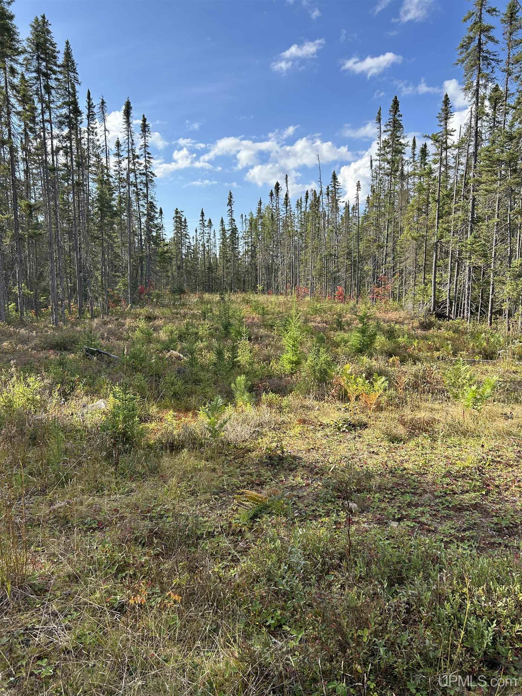 573 Rd Ishpeming Mi 49849 Road Ishpeming, MI 49849 - Photo 5 of 15