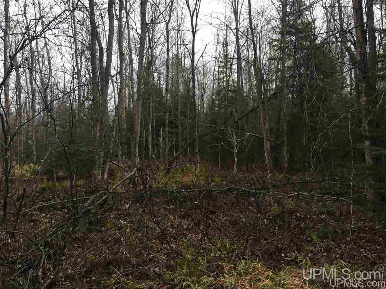 40-acres Off Cadeau Road Baraga, MI 49908 - Photo 7 of 19