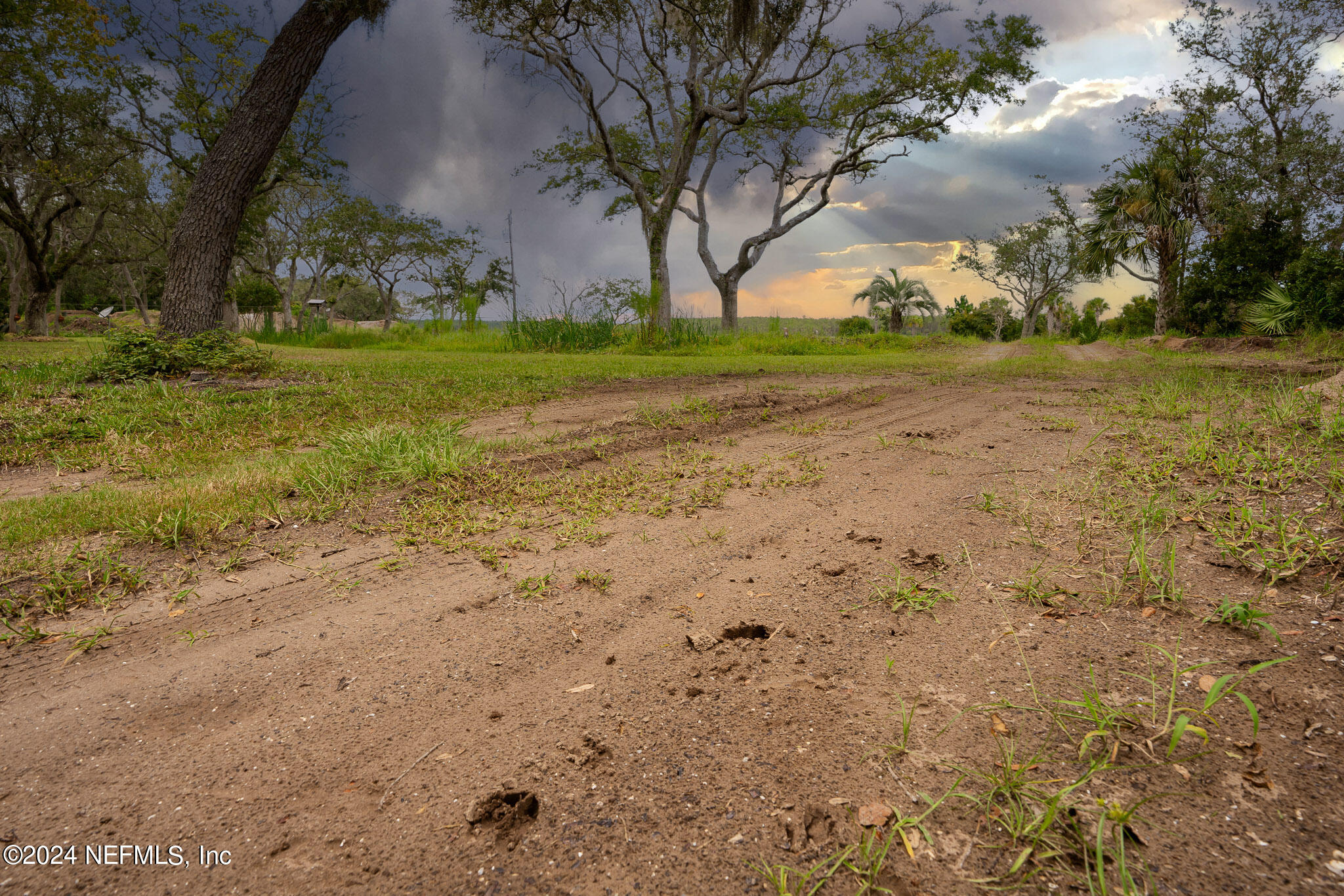 a view of a field with large trees