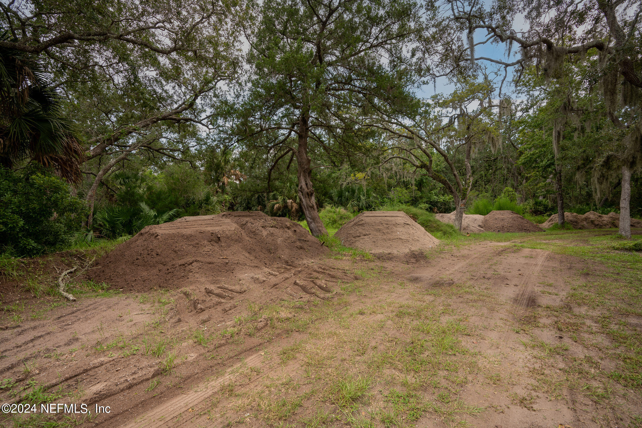 1235 Pine Island Road St. Augustine, FL 32095 - Photo 3 of 18 a backyard of a house with lots of green space