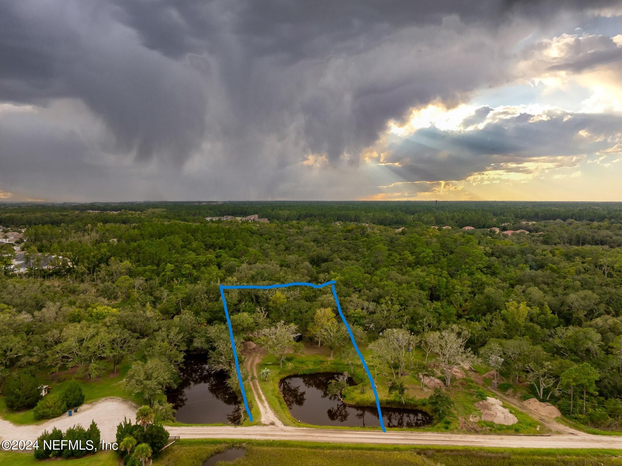 1235 Pine Island Road St. Augustine, FL 32095 - Photo 4 of 18 a view of a big yard with potted plants