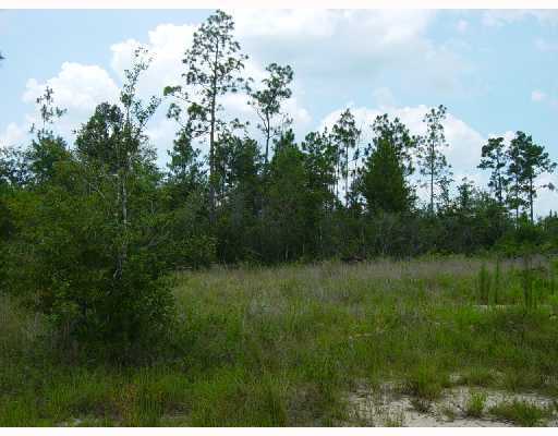 20231 Scarborough Road Saucier, MS 39574 - Photo 3 of 3 Additional Photo