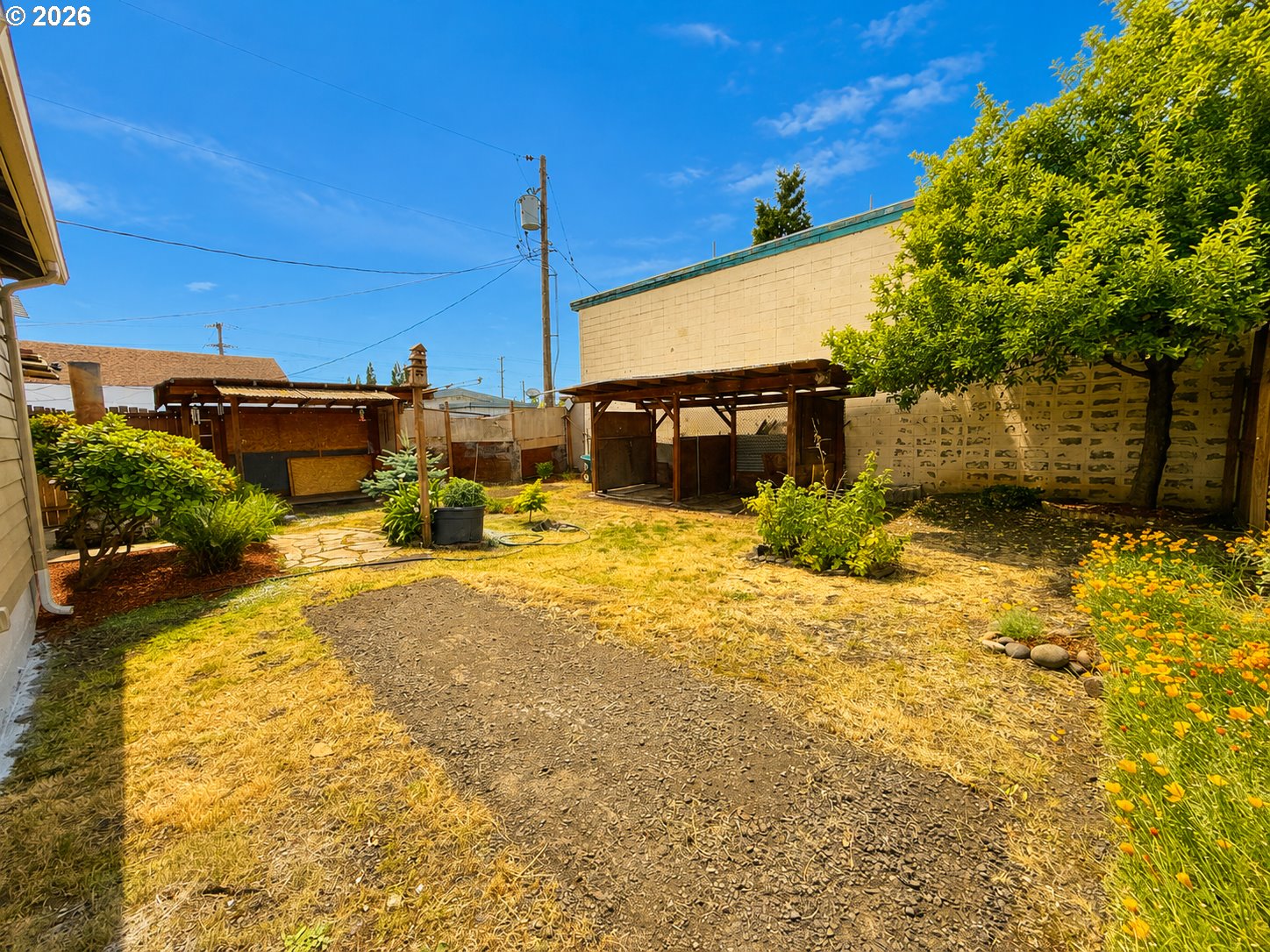 1664 Main Street Springfield, OR 97477 - Photo 16 of 17 Backyard