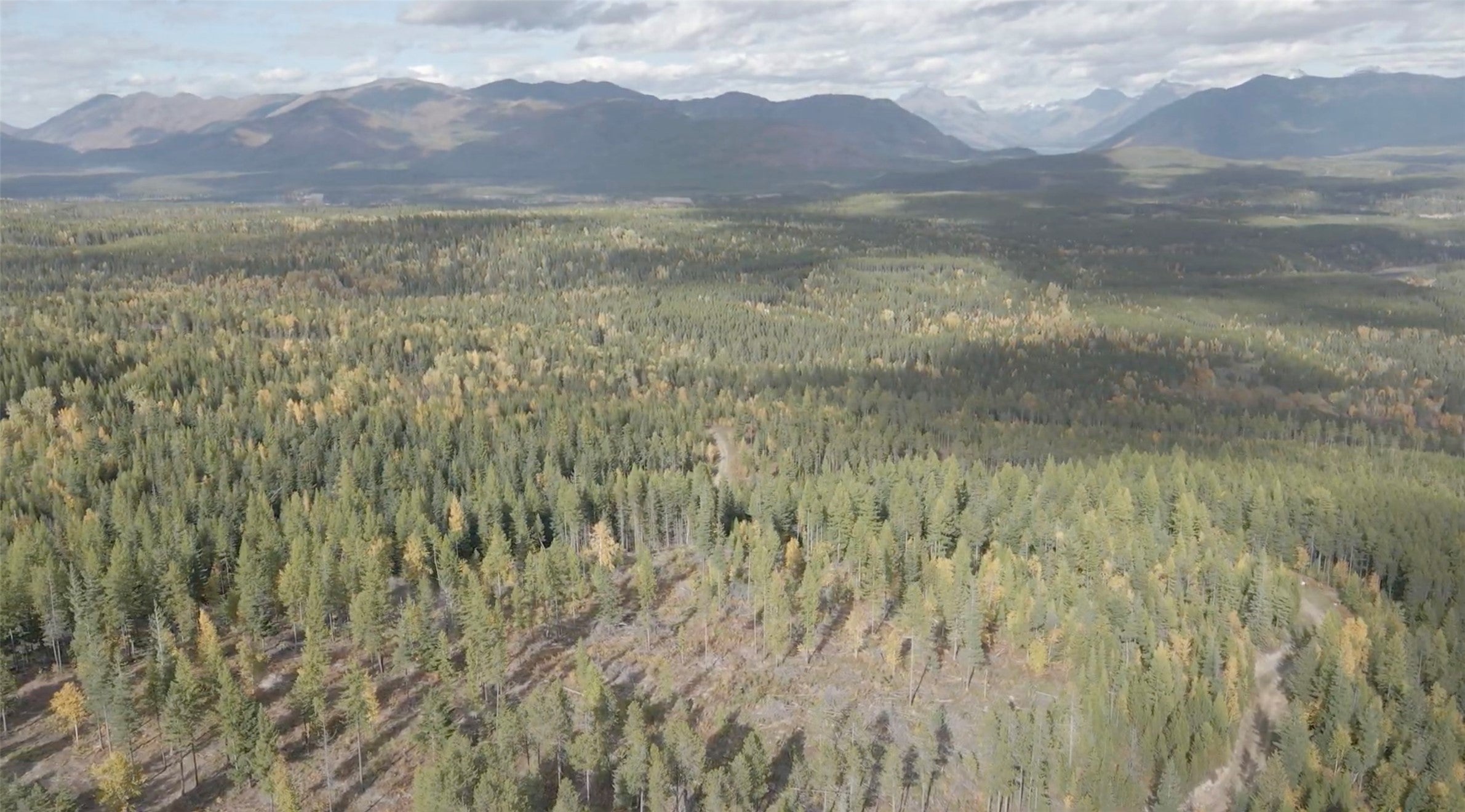 105 Highland Meadows Road Whitefish, MT 59937 - Photo 12 of 17 Gallery Image 12