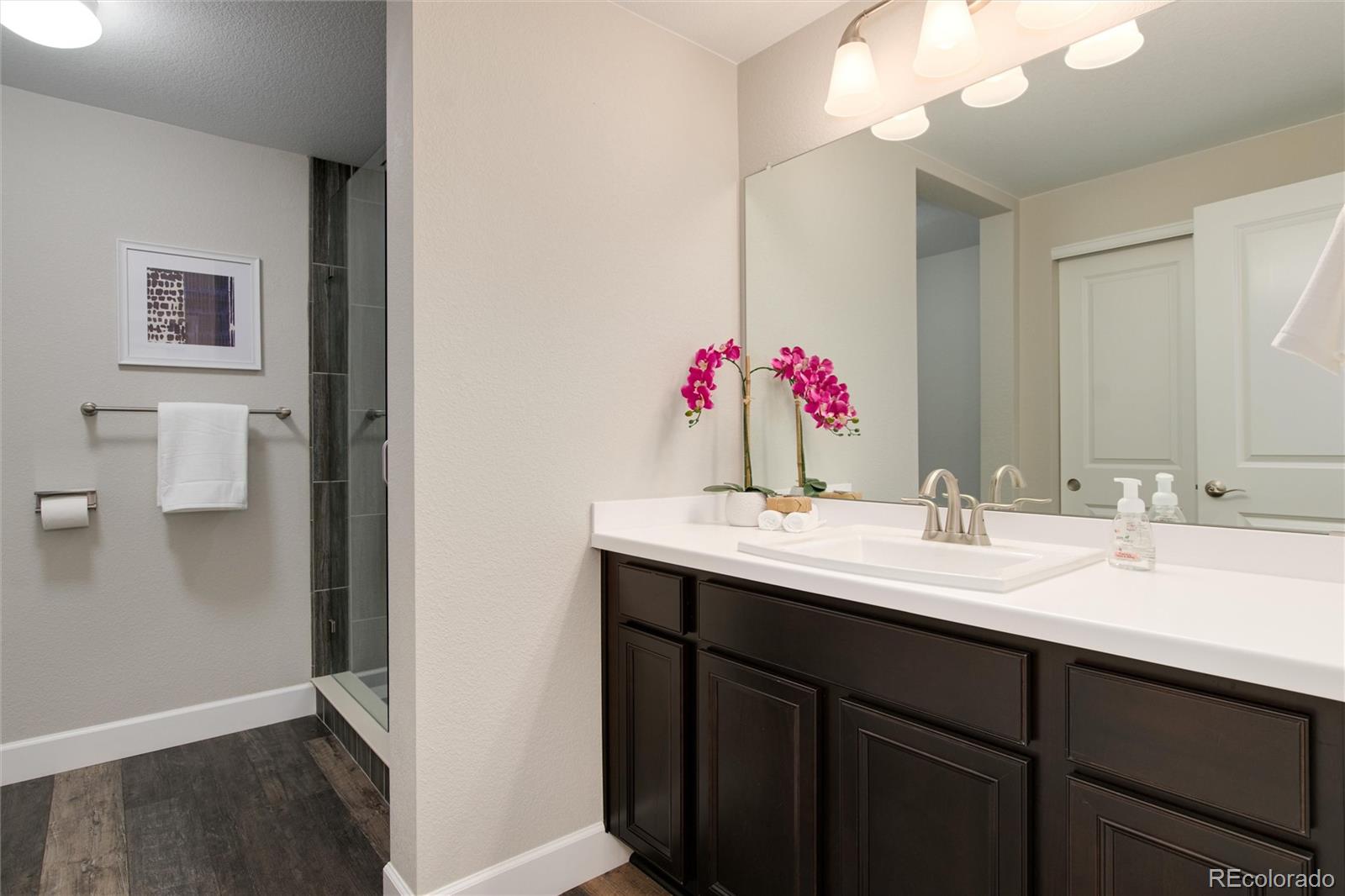 1165 Brocade Drive Highlands Ranch, CO 80126 - Photo 34 of 40 a bathroom with a sink vanity and a mirror