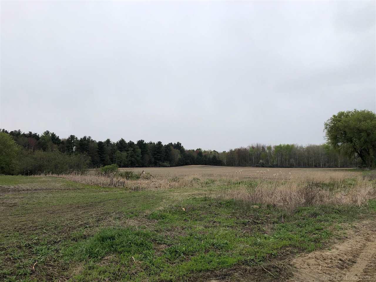 0 Applegate Road Applegate, MI 48401 - Photo 3 of 6