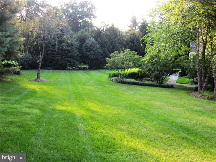 654 Dorset Road Devon, PA 19333 - Photo 22 of 25 Back Yard