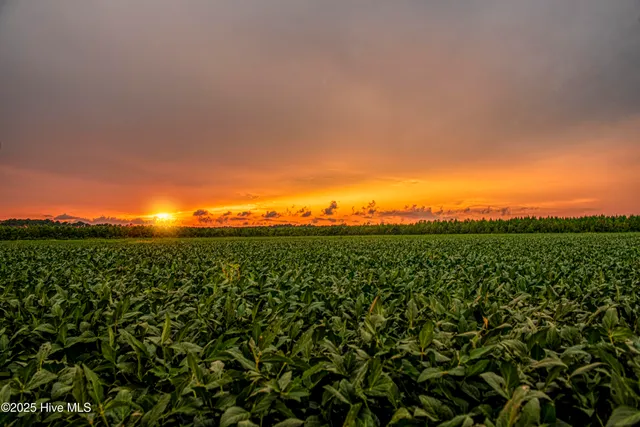 $340,000 | 320 Camp Creek Drive, Oriental, NC 28571