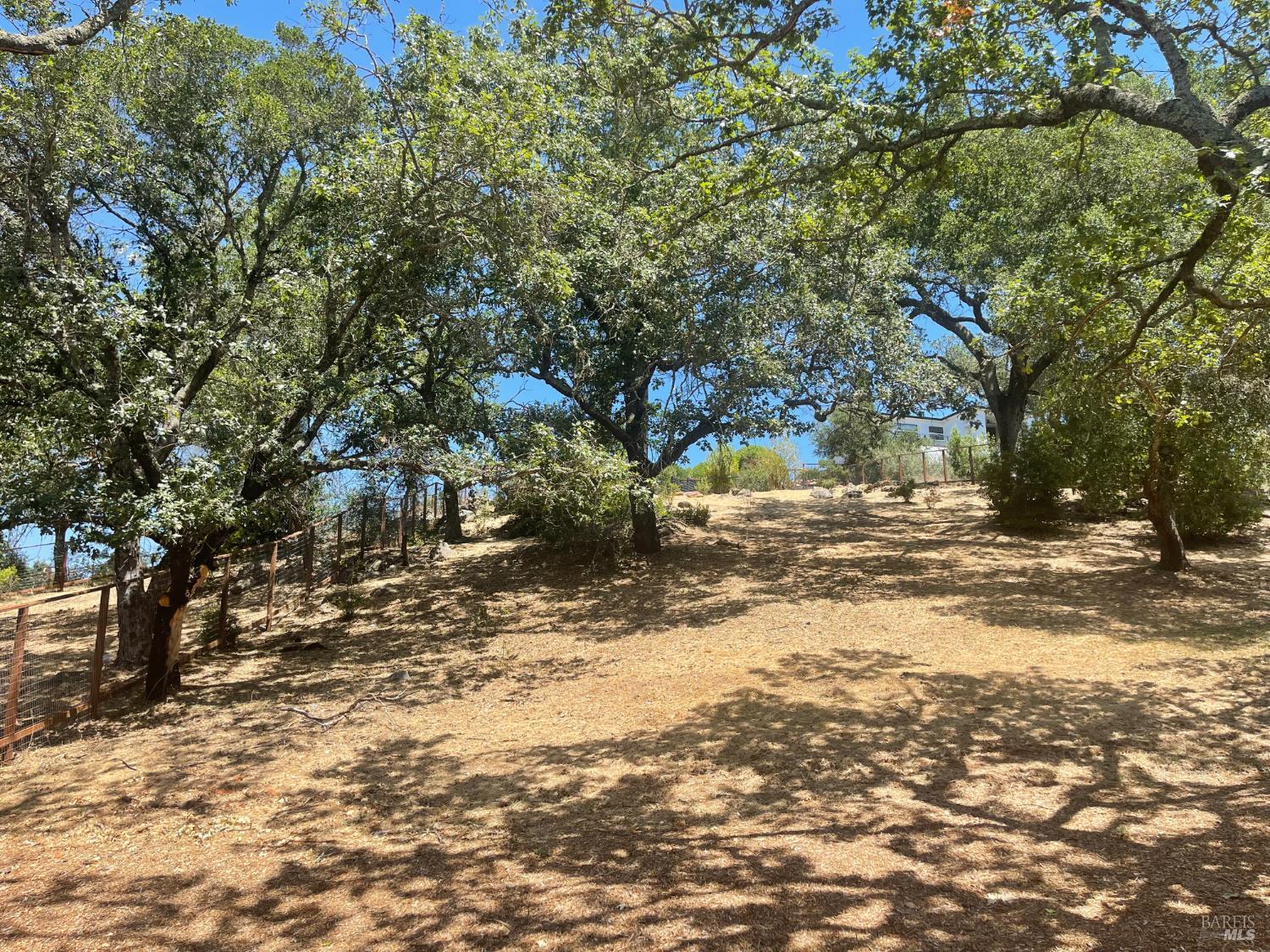 1913 Carlile Place Santa Rosa, CA 95403 - Photo 8 of 10 a view of road and trees
