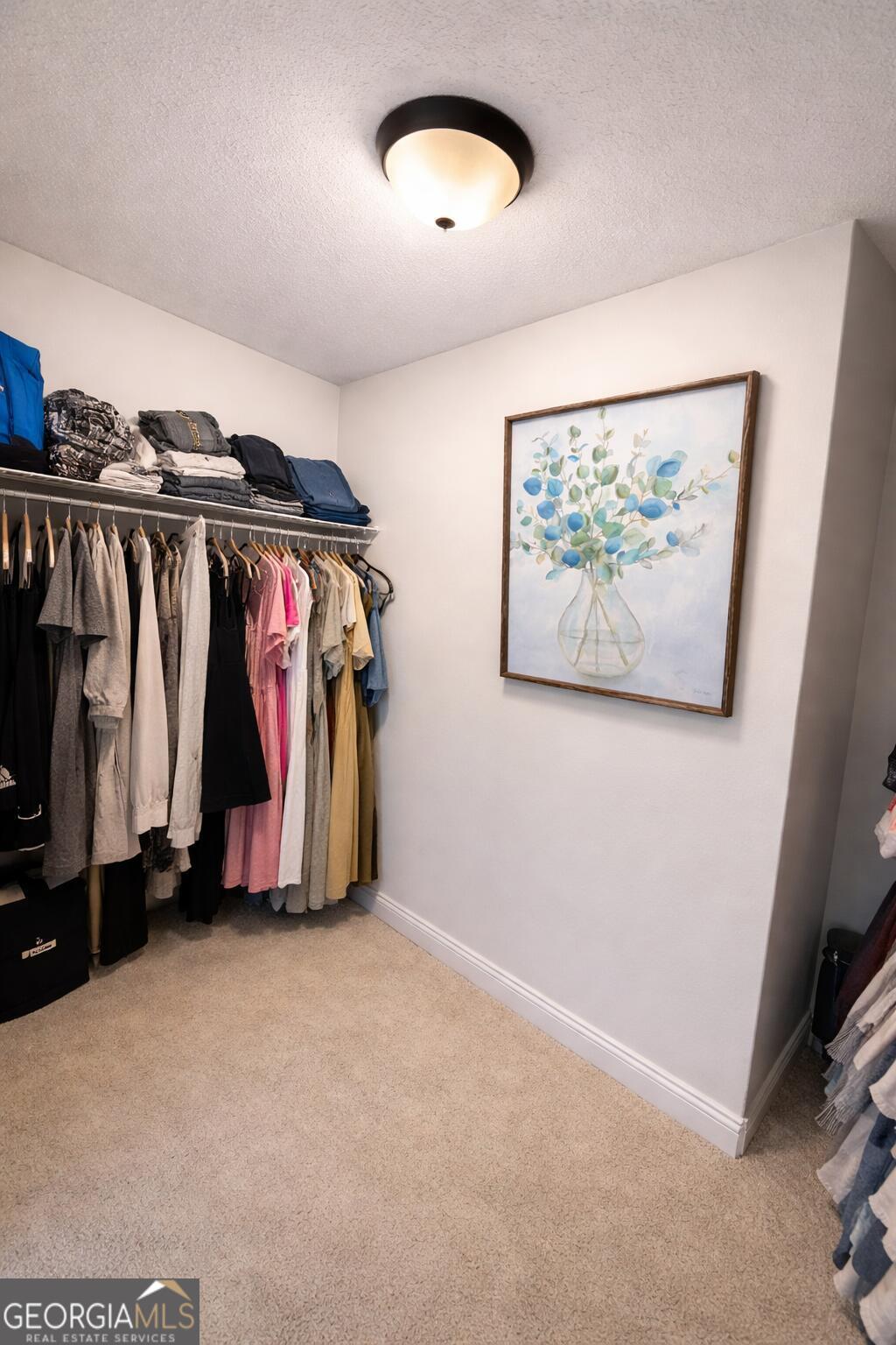 106 Rawlins Point Perry, GA 31069 - Photo 15 of 34 a view of walk in closet with clothes and shoes