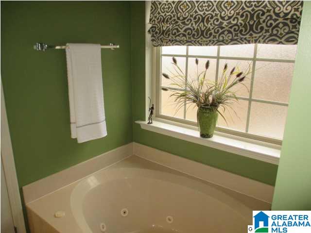 145 River Birch Road Chelsea, AL 35043 - Photo 19 of 29