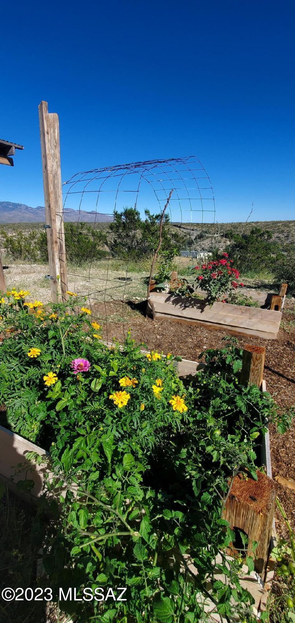 15751 East Marsh Station Road Vail, AZ 85641 - Photo 41 of 47 Gallery Image 41