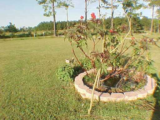 7910 Belle Ethridge Road Lucedale, MS 39452 - Photo 8 of 8 Additional Photo