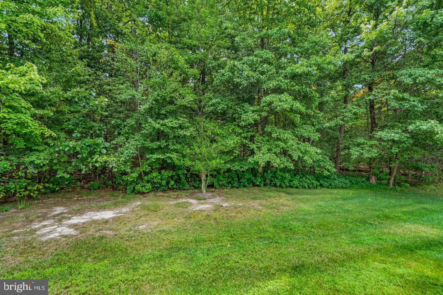 99 Warwick Road Princeton Junction, NJ 08550 - Photo 20 of 45 Lush green retreat in serene woods.