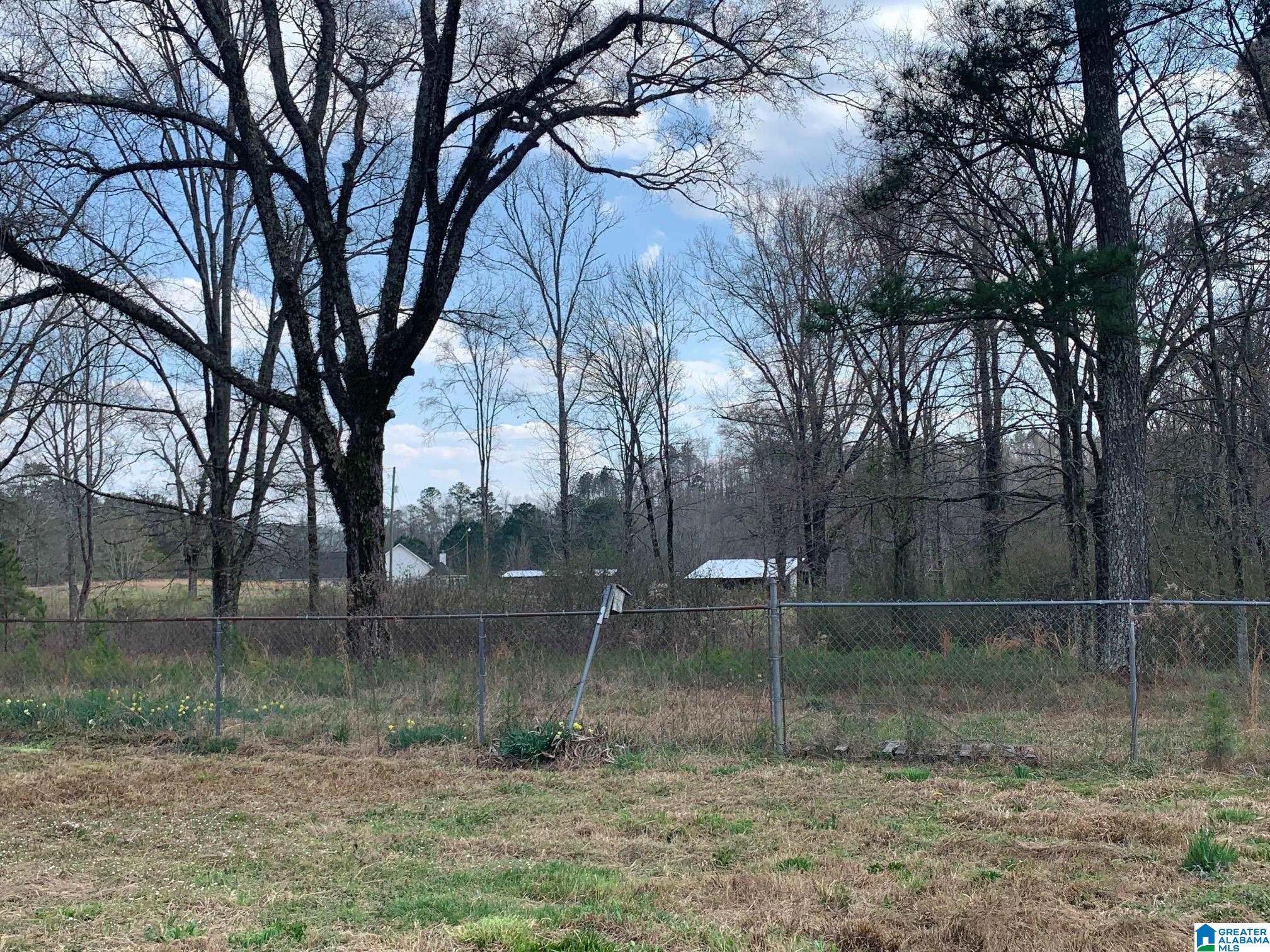 78 Middleton Road South Ohatchee, AL 36271 - Photo 8 of 31