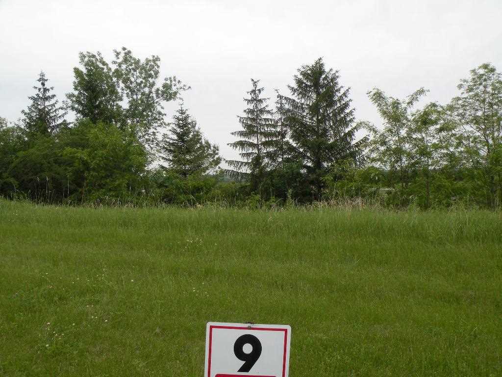 1052 Combe Street Ripon, WI 54971 - Photo 3 of 4