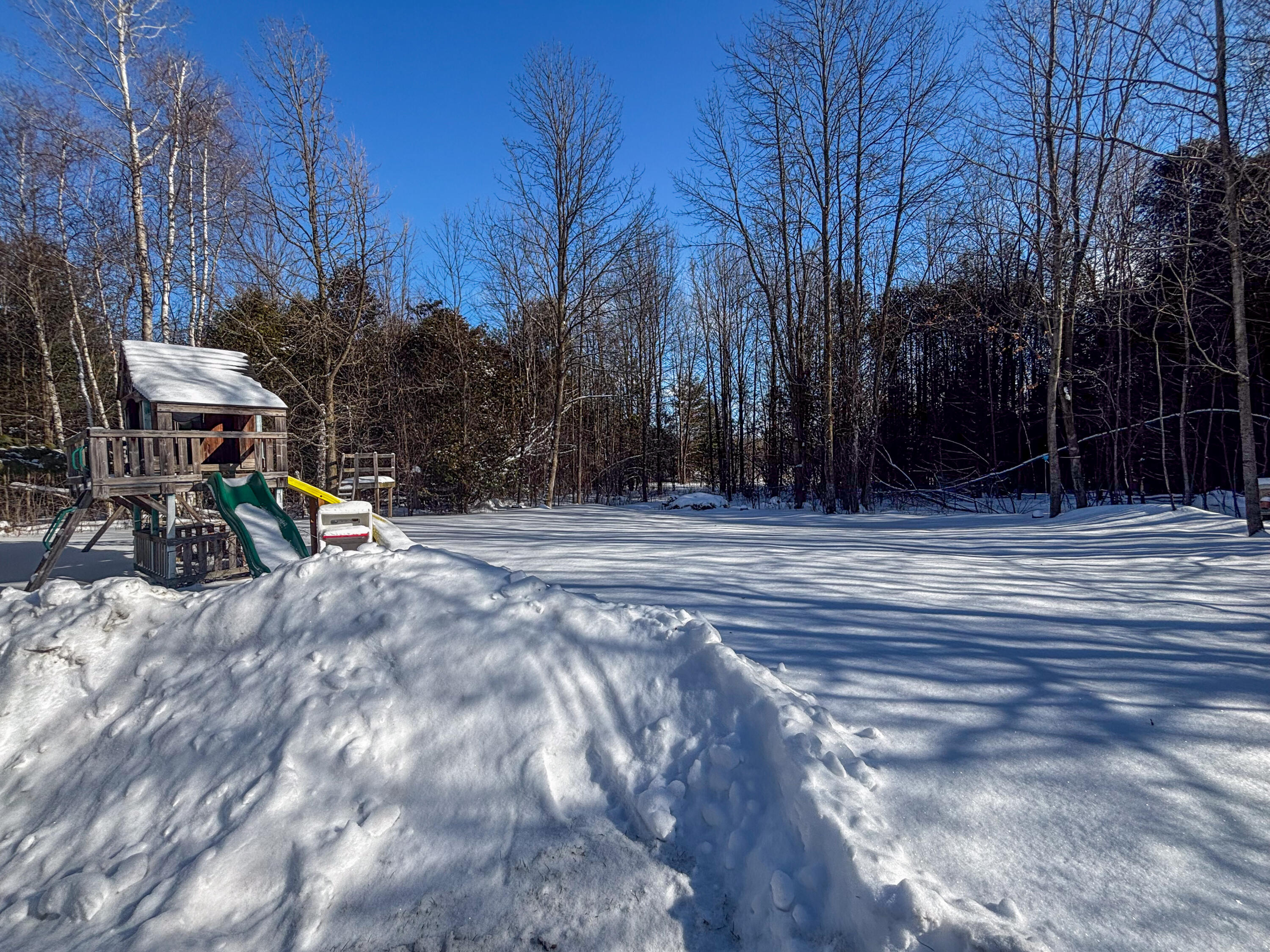 690 Ratta Road Chazy, NY 12921 - Photo 23 of 29 Backyard