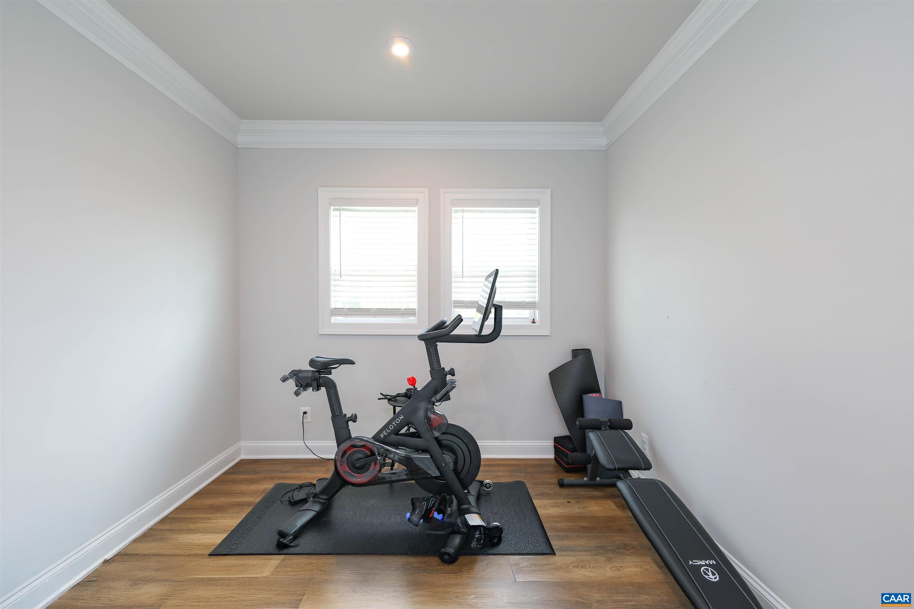 2483 Ferndown Lane Keswick, VA 22947 - Photo 25 of 54 a room with gym equipment