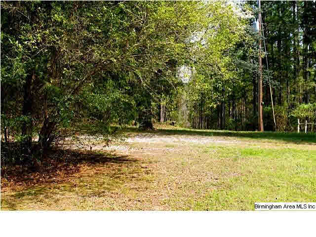 335 Cove Shocco Road Talladega, AL 35160 - Photo 10 of 24